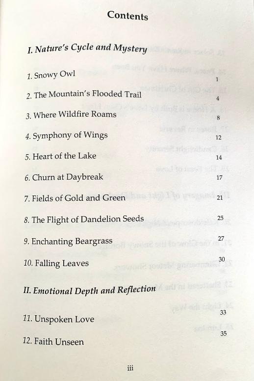 untitled design (14)