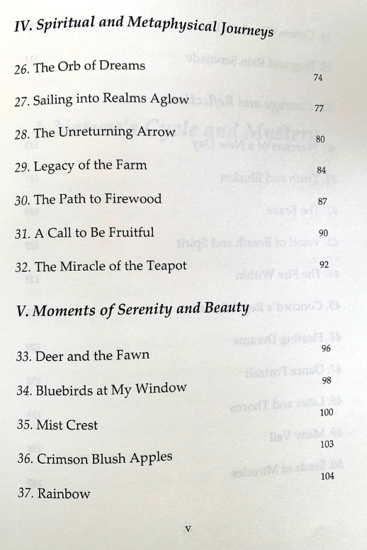 untitled design (15)